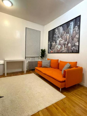 Entire Apartment near Central Park